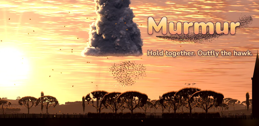 Murmur