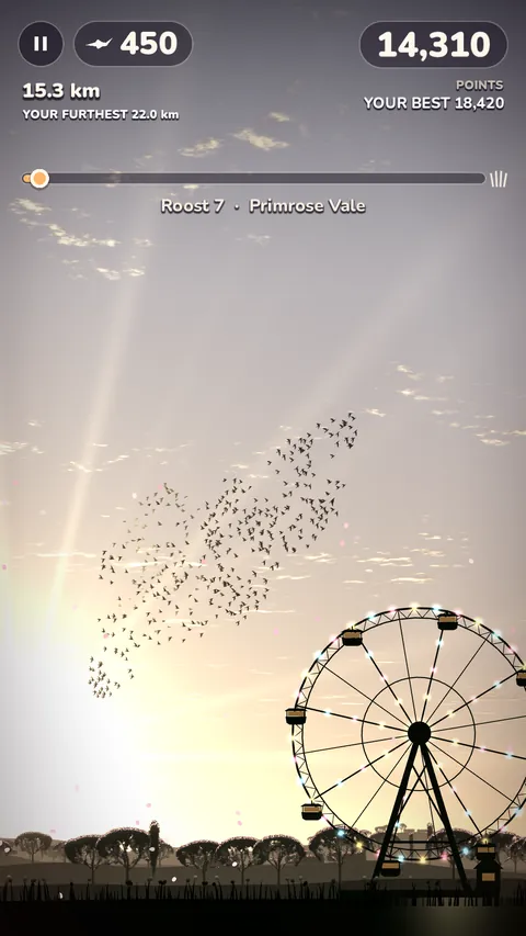 A flock sweeping past a Ferris wheel at sunset