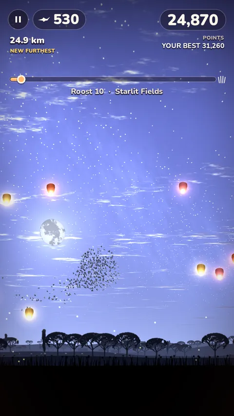 Sky lanterns on a starlit night